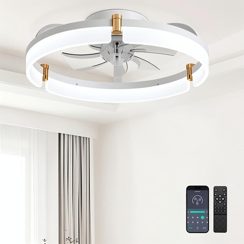 Ceiling fan with light - ceiling,