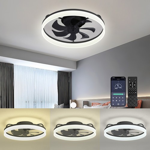 Modern fan lights - fan,