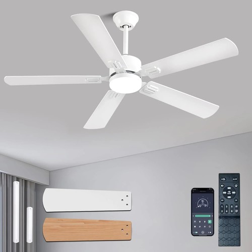 Inch modern white ceiling - 52,