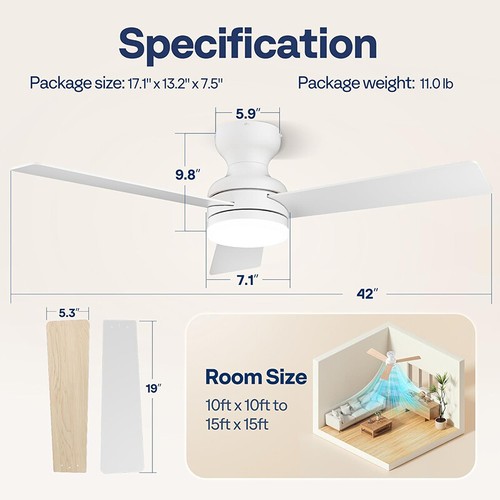 Ceiling fan with - light, 42"