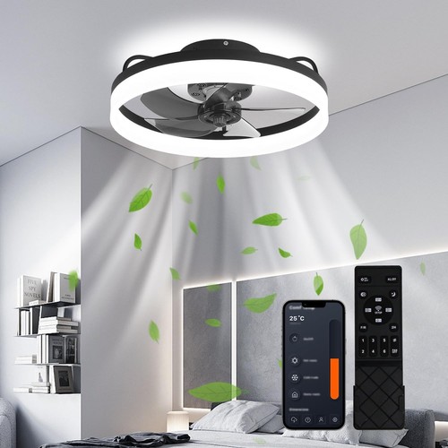 Modern fan lights flush - modern,