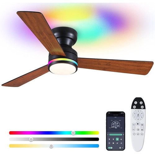 Remote control ceiling fan - control,
