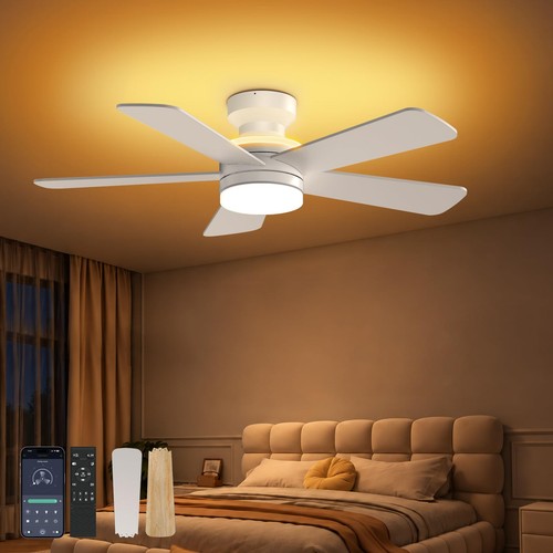 Inch ceiling fans with - inch,