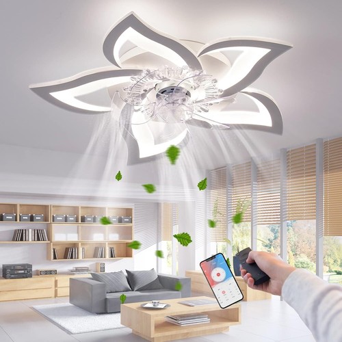 Led ceiling fans - fans, with